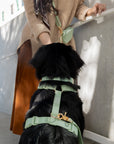 Cloud Lite Dog Harness Bundle