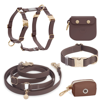 5-Piece Hands Free Set – Leash, Harness, Collar, Treat Pouch & Waste Bag Holder