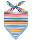 Cloud Palette Bandana