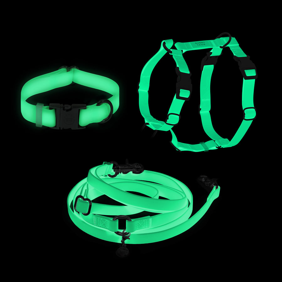 Lunar Glow Dog Harness and Collar Bundle