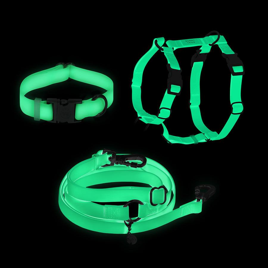 Lunar Glow Dog Harness and Collar Bundle Wide