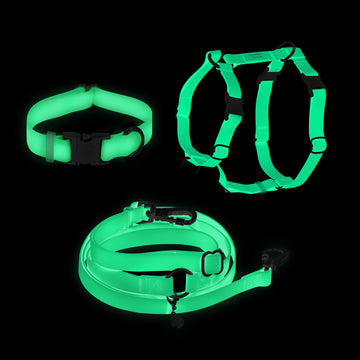 Lunar Glow Dog Harness and Collar Bundle Wide