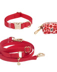Cloud Dog Collar Bundle Wide - SUNNY TAILS