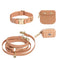 Best Sellers Collar & Treat Pouch Bundle - SUNNY TAILS