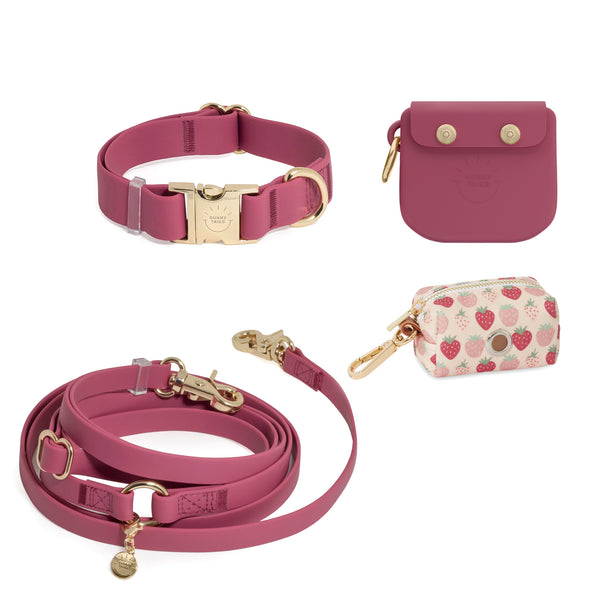Best Sellers Collar & Treat Pouch Bundle - SUNNY TAILS