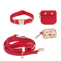 Best Sellers Collar & Treat Pouch Bundle Wide