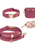 Best Sellers Collar & Treat Pouch Bundle Wide