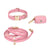 Cloud Dog Collar Bundle - SUNNY TAILS