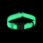 Lunar Glow Waterproof Dog Collar | Glow in Dark Quick Release Collar | Available in 3 Sizes | Durable Dog Collars | Wedding Dog Collar