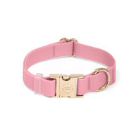 Perfect Pink Waterproof Dog Collar | Light Pink Quick Release Collar | Available in 3 Sizes | Durable Dog Collars | Shop Sunny Tails