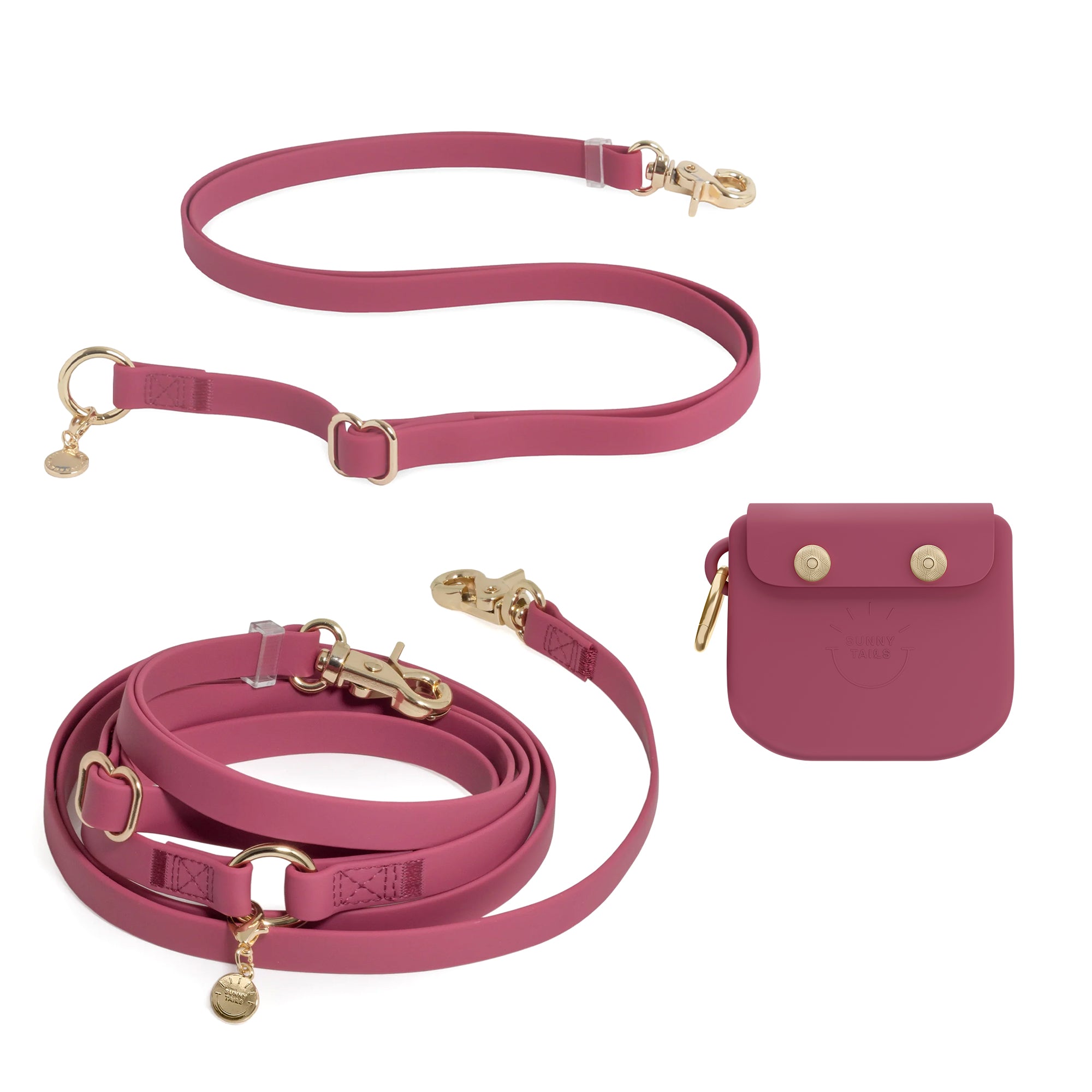 Cloud Leash Extension & Treat Pouch Bundle - SUNNY TAILS