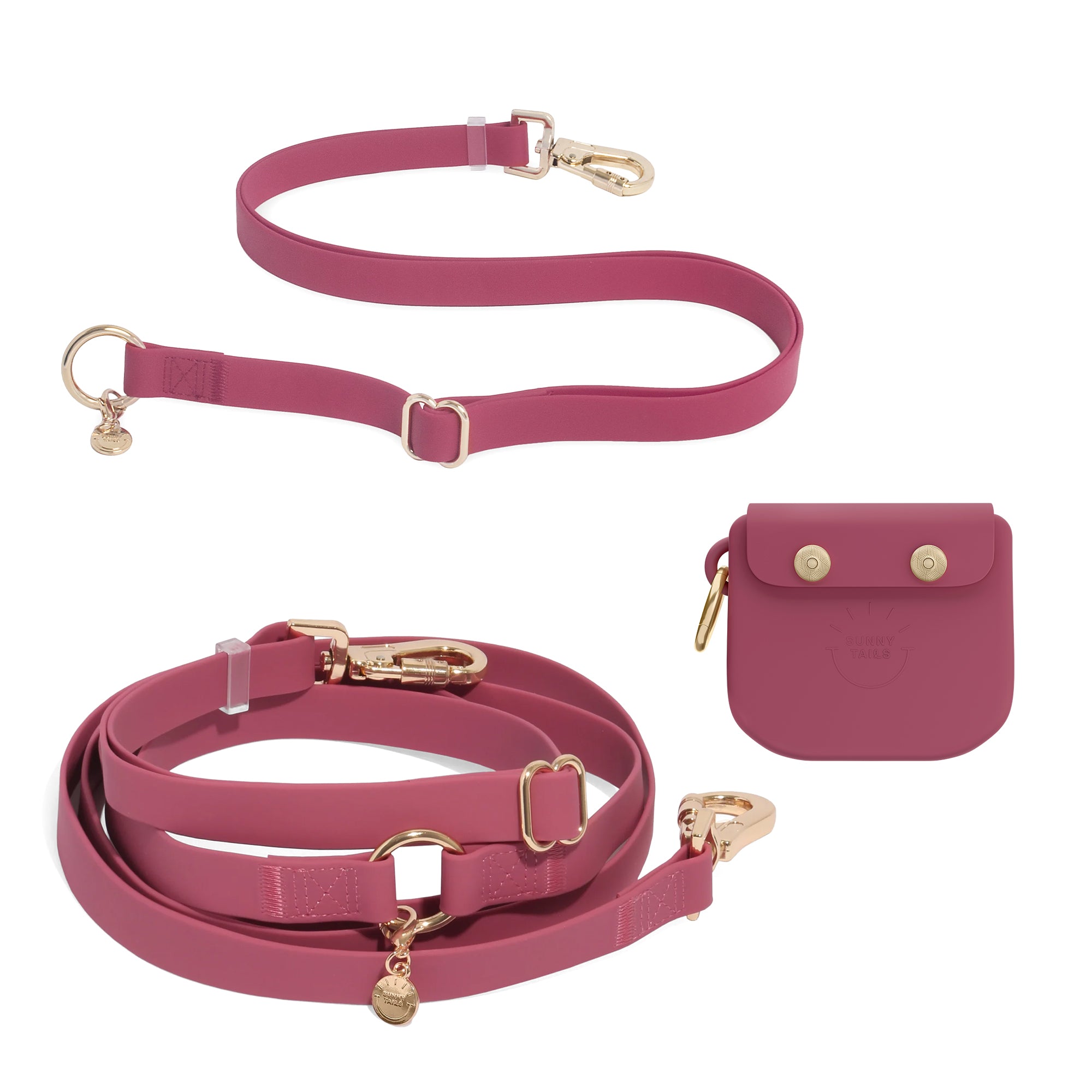 Cloud Leash Extension & Treat Pouch Bundle Wide - SUNNY TAILS