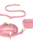 Cloud Leash Extension & Treat Pouch Bundle Wide - SUNNY TAILS