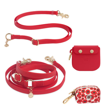 Best Sellers Leash Extension & Treat Pouch Bundle