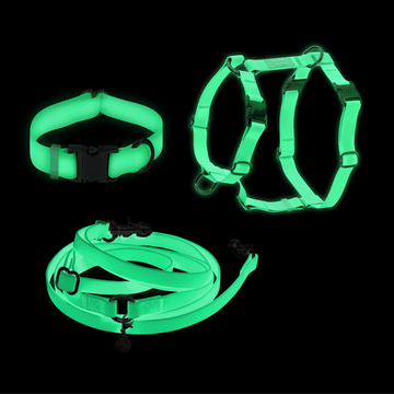 Lunar Glow Dog Harness and Collar Bundle