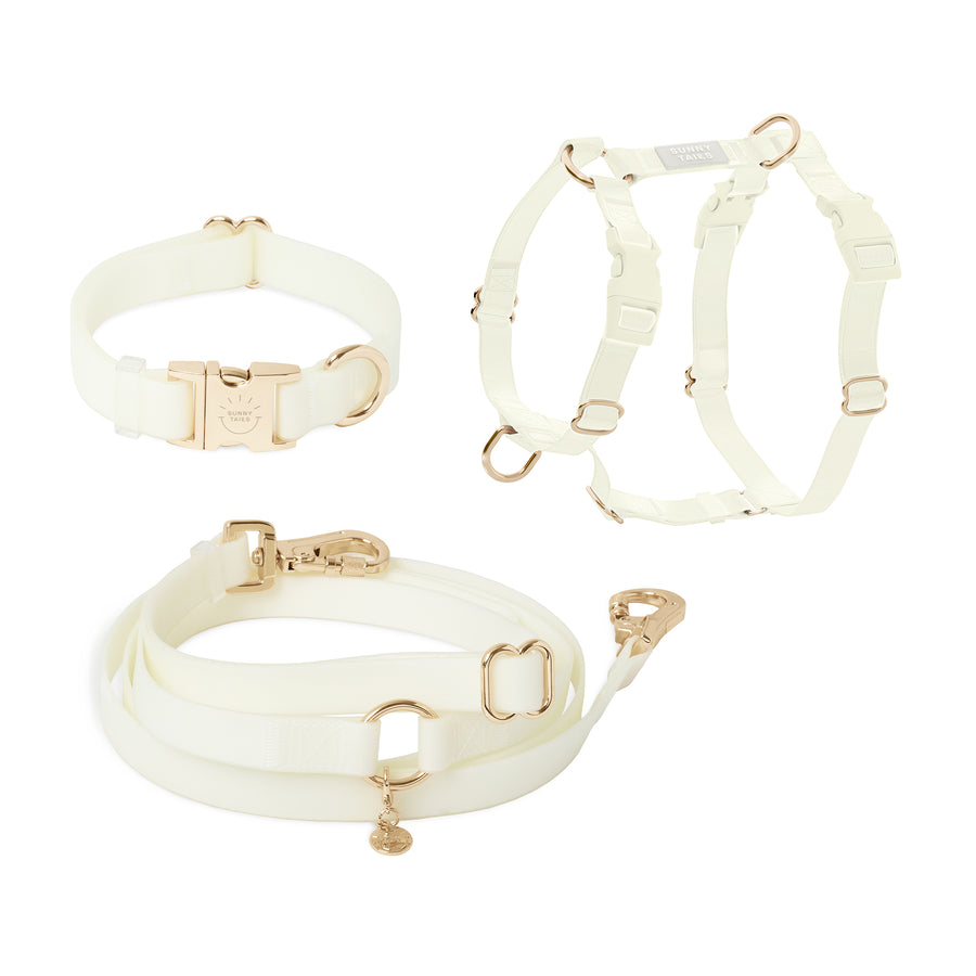 Lunar Glow Dog Harness and Collar Bundle Wide | Glow in the Dark Hands Free Leash Set | White Dog Harness and Dog Collar | Sunny Tails