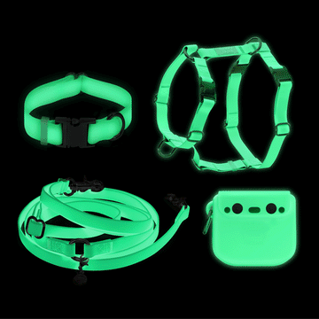 Lunar Glow Dog Harness, Collar, & Treat Pouch Bundle