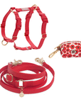 Cloud Lite Dog Harness Bundle (Standard leash preorder ship by 6/19)