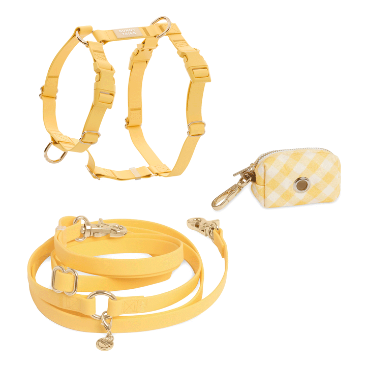 Dandelion Yellow Cloud Lite Dog Harness Bundle