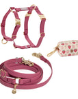 Cloud Lite Dog Harness Bundle