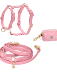 Cloud Lite Dog Harness Bundle (Standard leash preorder ship by 6/12)