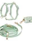 Cloud Lite Dog Harness Bundle