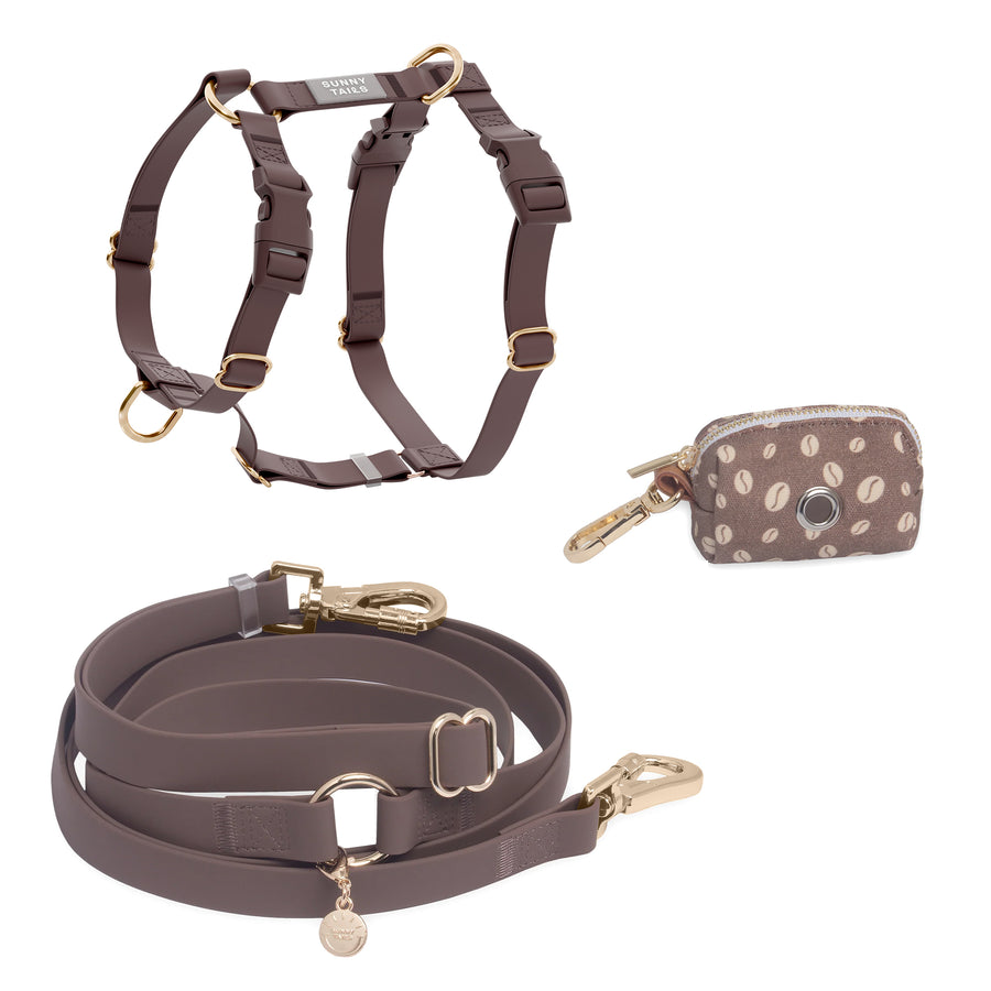 Harness and collar combo hotsell