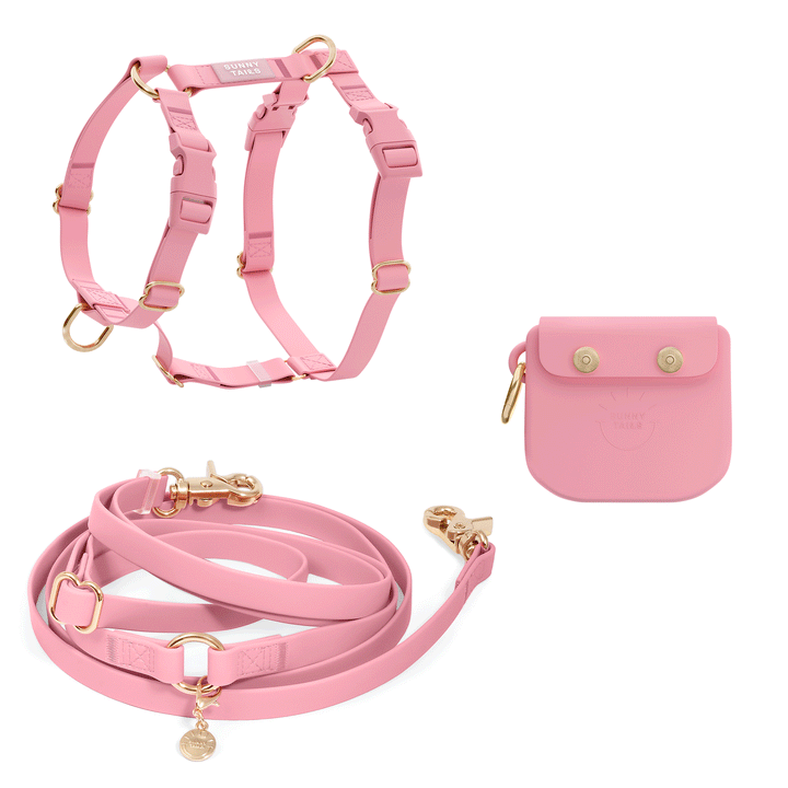 Cloud Lite Dog Harness Treat Pouch Bundle SUNNY TAILS