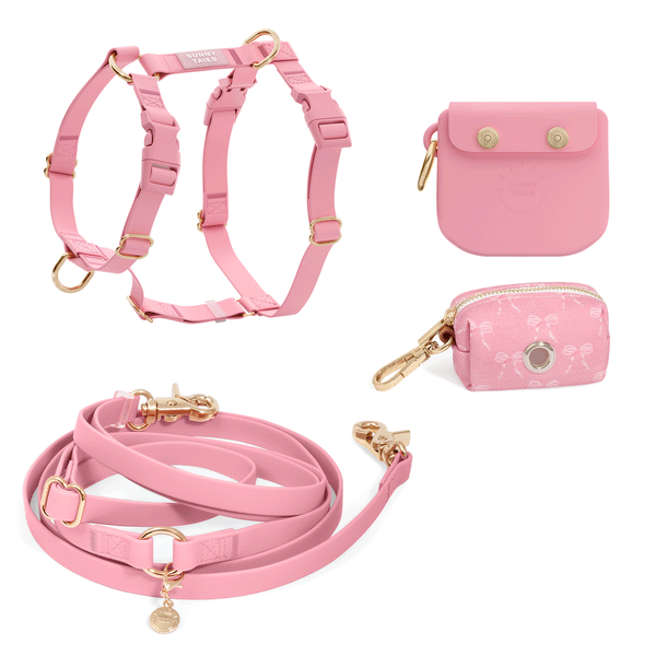 Best Sellers Harness & Standard Treat Pouch Bundle