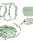 Pistachio Green 4-in-1 Convertible Hands Free Cloud Dog Leash | Multifunctional, Waterproof, and Lightweight Dog Leash | No Pull Dog Harness | Snap Dog Treat Pouch | Dog Waste Poop Bag Dispenser