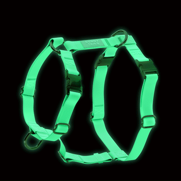 Lunar Glow Cloud Lite Dog Harness | Glow in Dark Waterproof Dog Harness | No Pull Front Attachment | Available in 4 Sizes