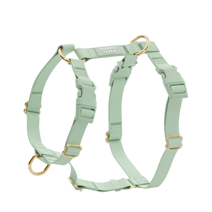 Reimagining pet goods for the stylish and aesthetic dog Reimagining pet goods for the stylish and aesthetic dog