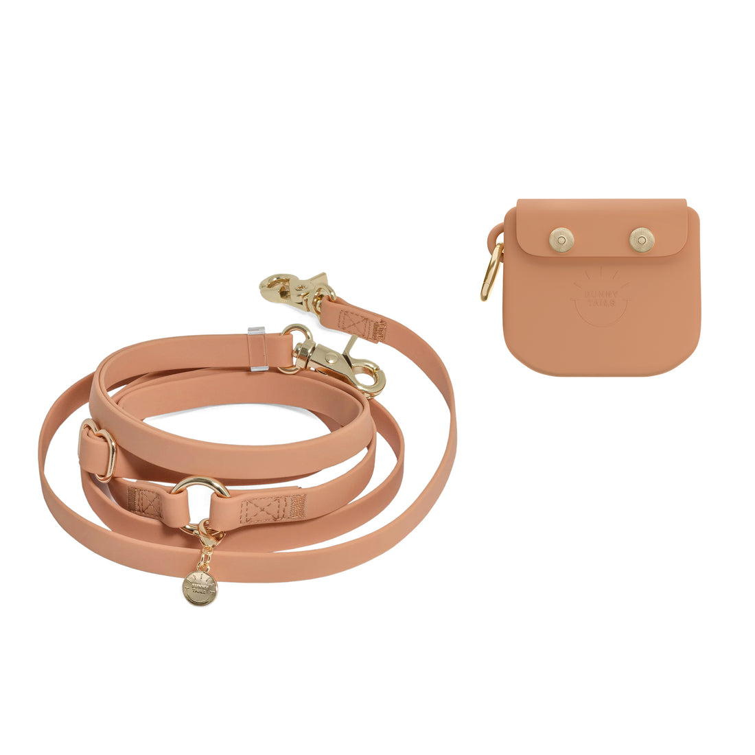Treat Pouch & 4-in-1 Convertible Hands Free Cloud Dog Leash