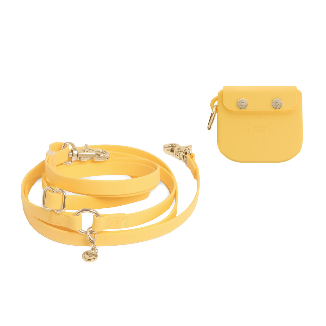 Treat Pouch & 4-in-1 Convertible Hands Free Cloud Dog Leash