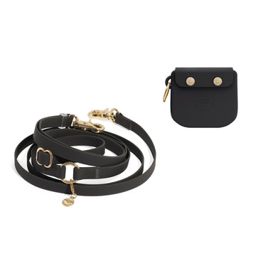 Treat Pouch & 4-in-1 Convertible Hands Free Cloud Dog Leash