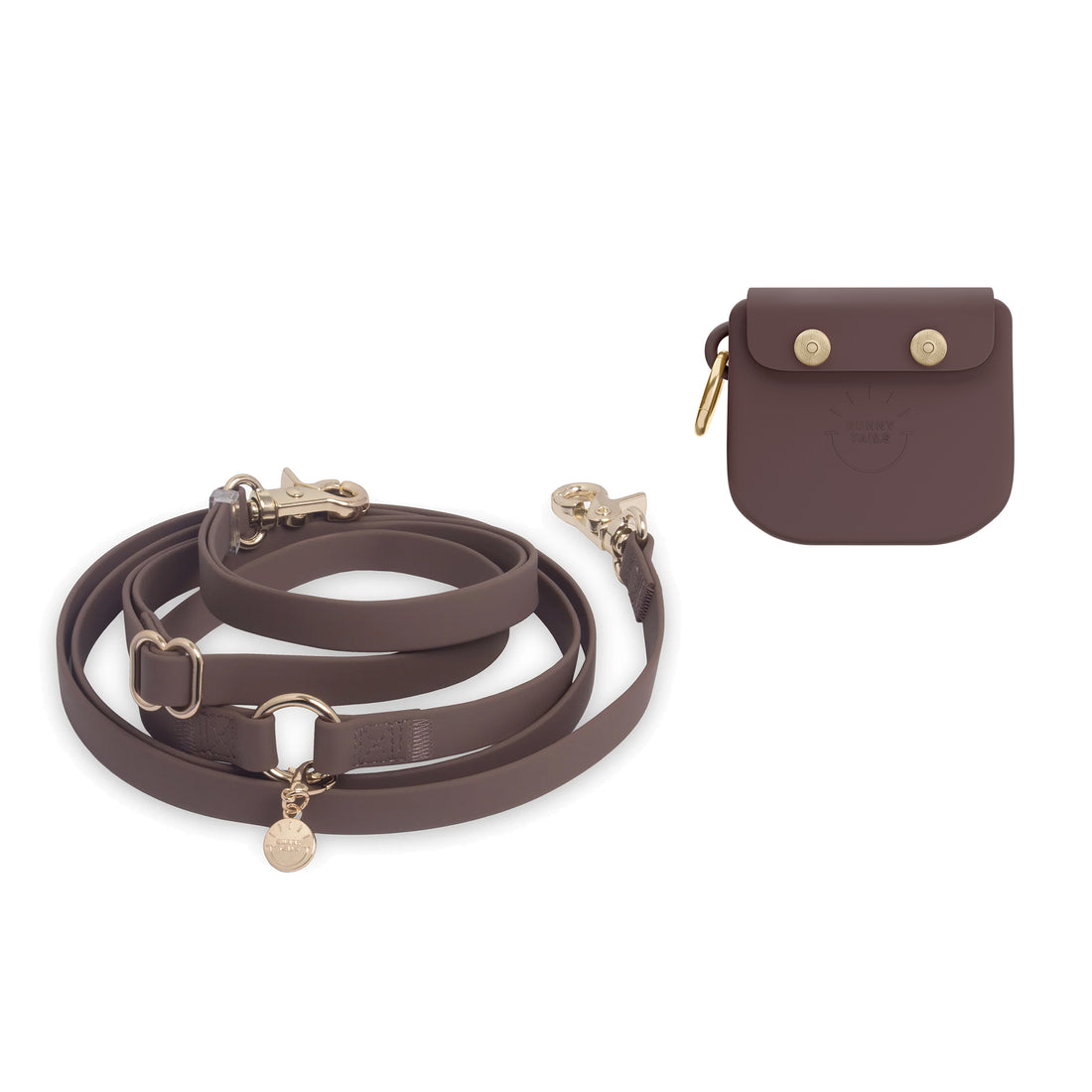 Treat Pouch & 4-in-1 Convertible Hands Free Cloud Dog Leash