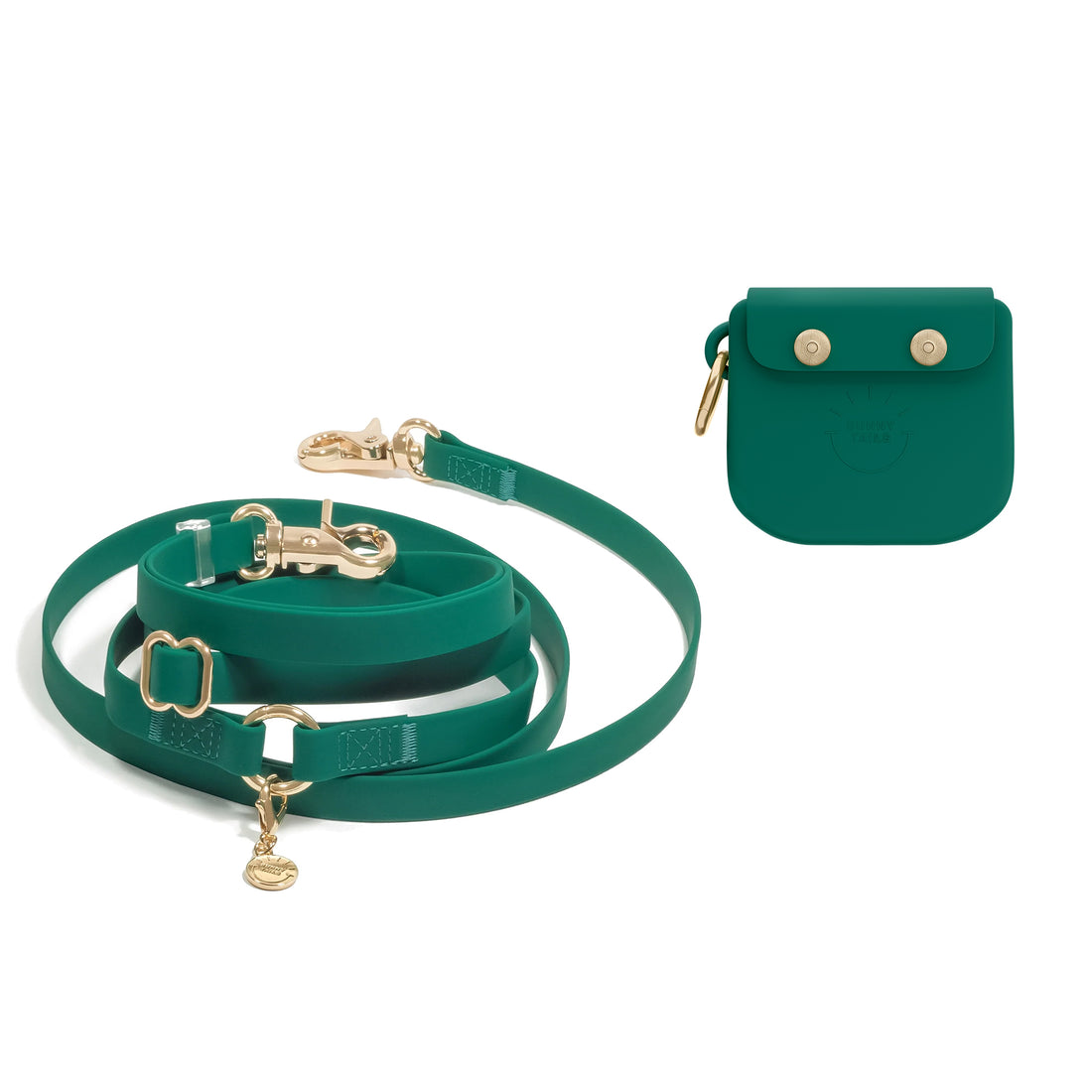 Treat Pouch & 4-in-1 Convertible Hands Free Cloud Dog Leash