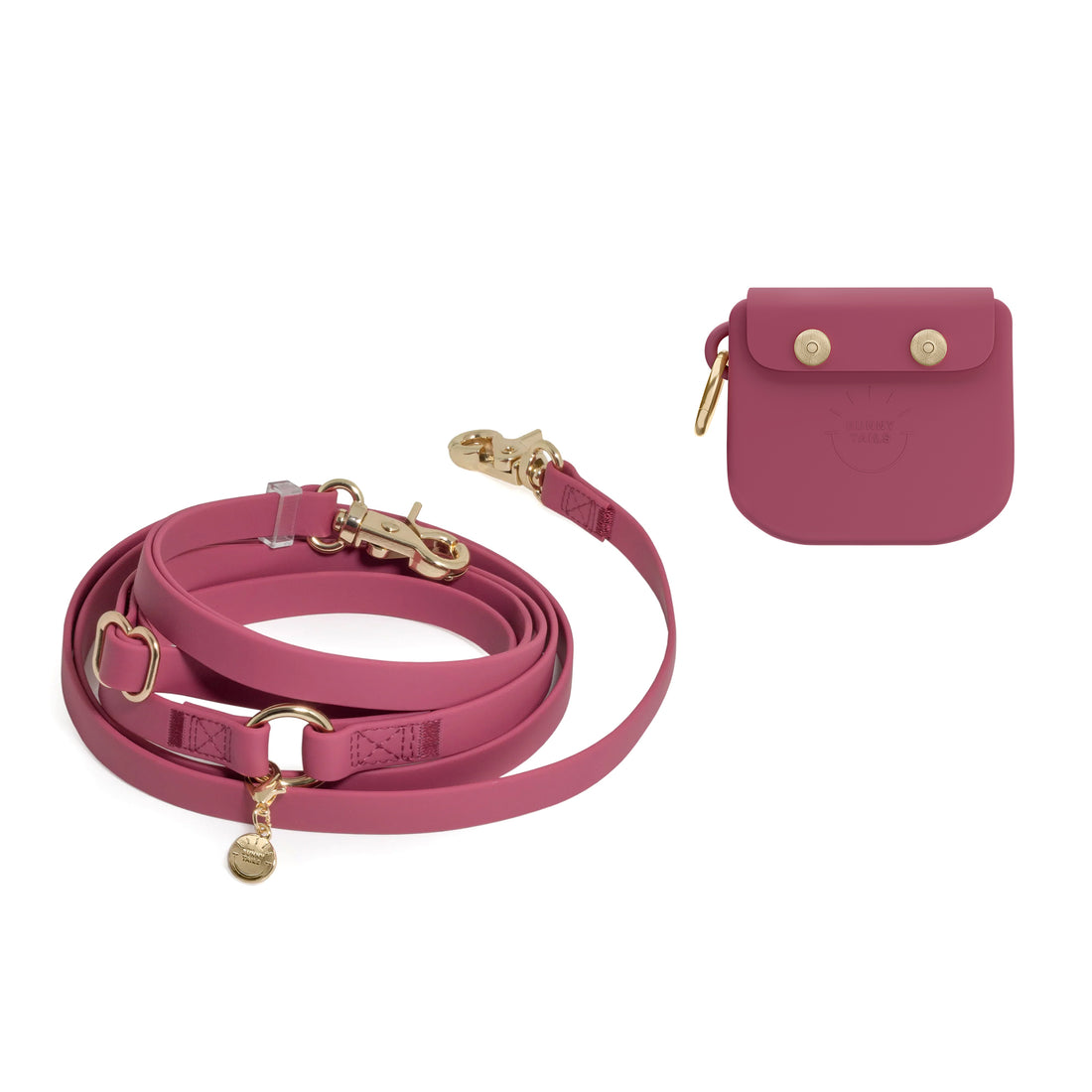 Treat Pouch & 4-in-1 Convertible Hands Free Cloud Dog Leash