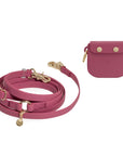 Treat Pouch & 4-in-1 Convertible Hands Free Cloud Dog Leash