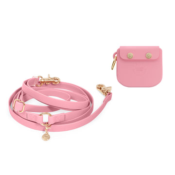 Treat Pouch & 4-in-1 Convertible Hands Free Cloud Dog Leash