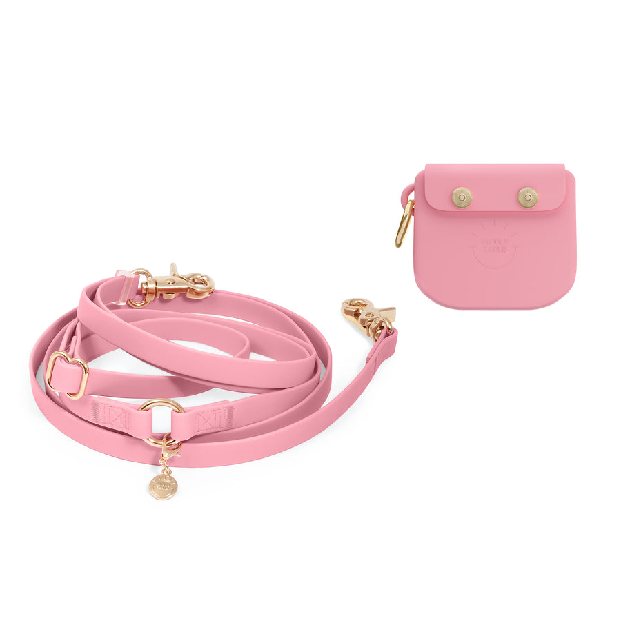Treat Pouch & 4-in-1 Convertible Hands Free Cloud Dog Leash