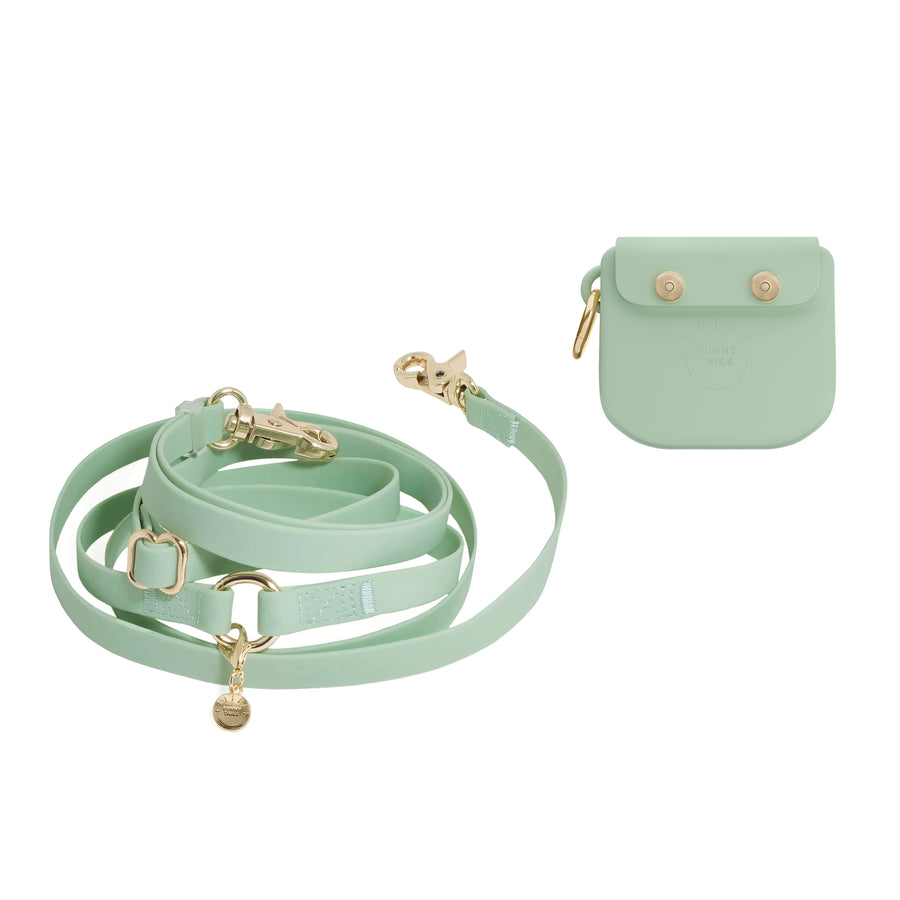 Treat Pouch & 4-in-1 Convertible Hands Free Cloud Dog Leash