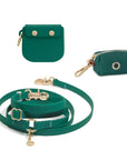 Snap Dog Treat Pouch Bundle (Standard leash preorder ship by 6/12)