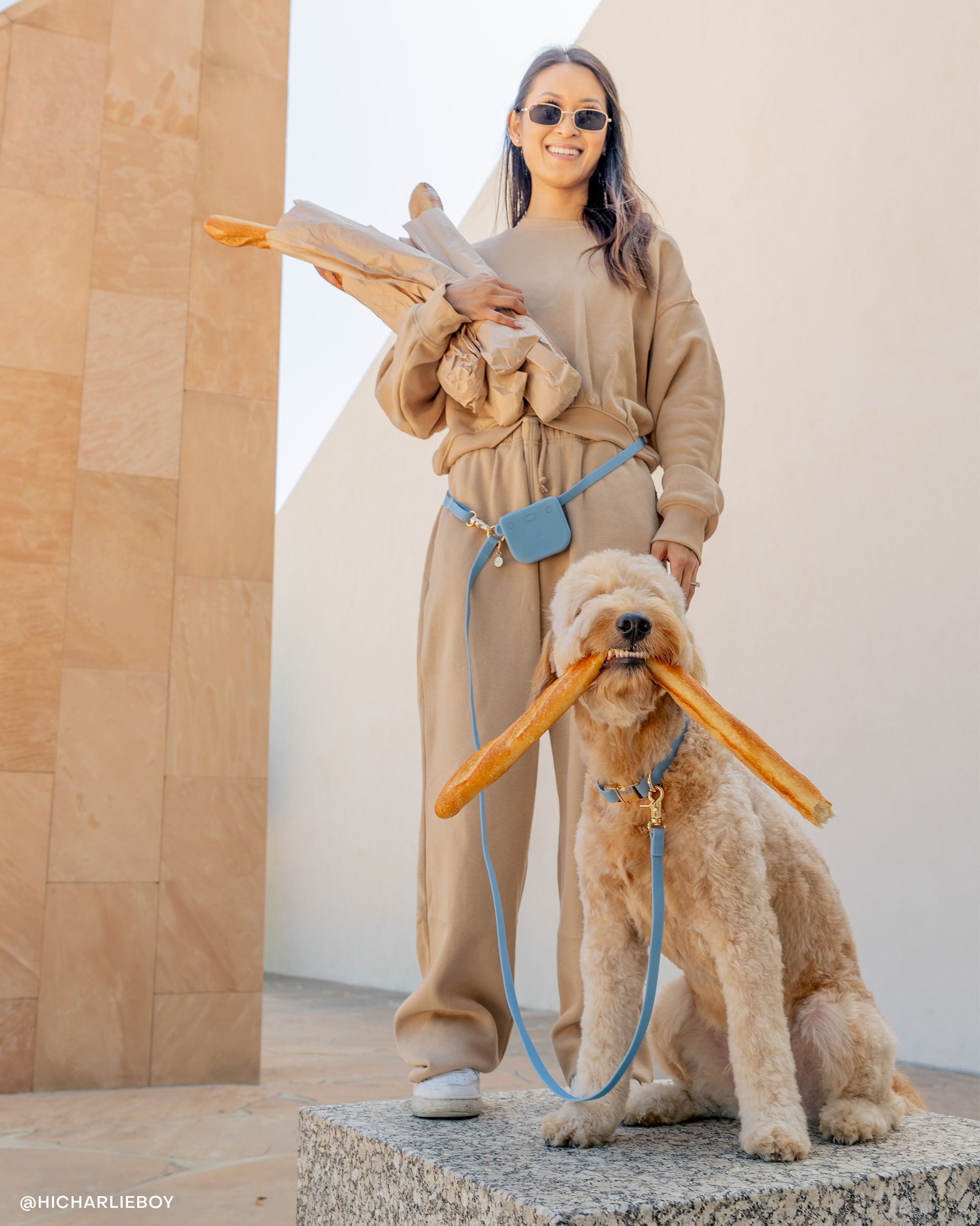 Best Sellers Collar &amp; Treat Pouch Bundle Wide