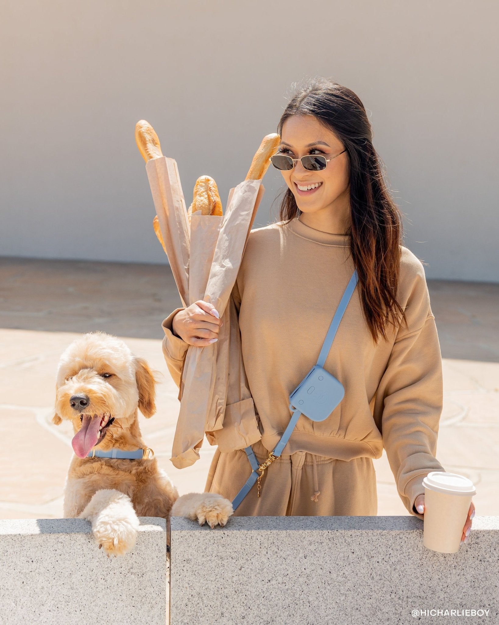 5 - Piece Hands Free Set – Leash, Harness, Collar, Treat Pouch & Waste Bag Holder - SUNNY TAILS