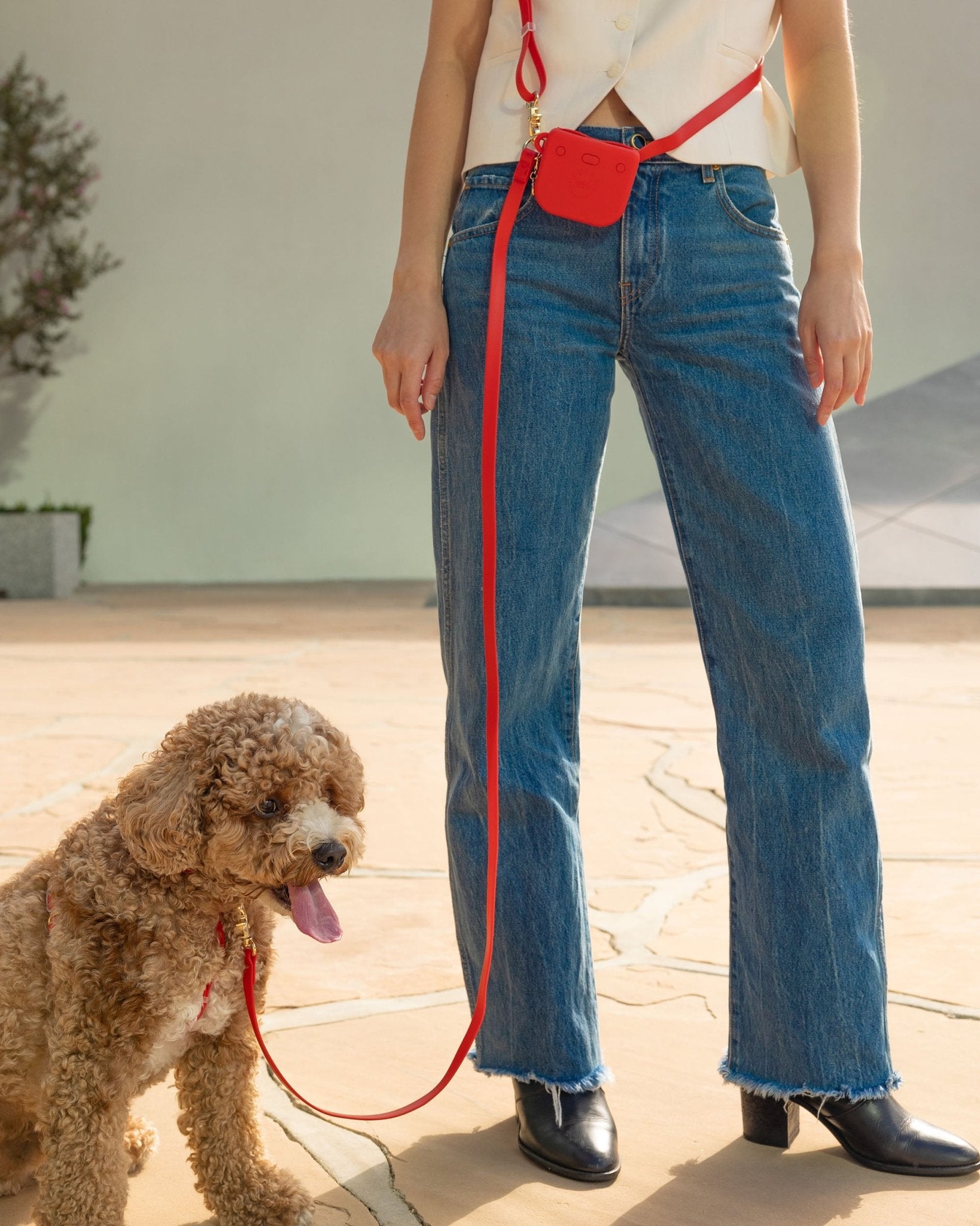 5 - Piece Hands Free Set – Leash, Harness, Collar, Treat Pouch &amp; Waste Bag Holder - SUNNY TAILS