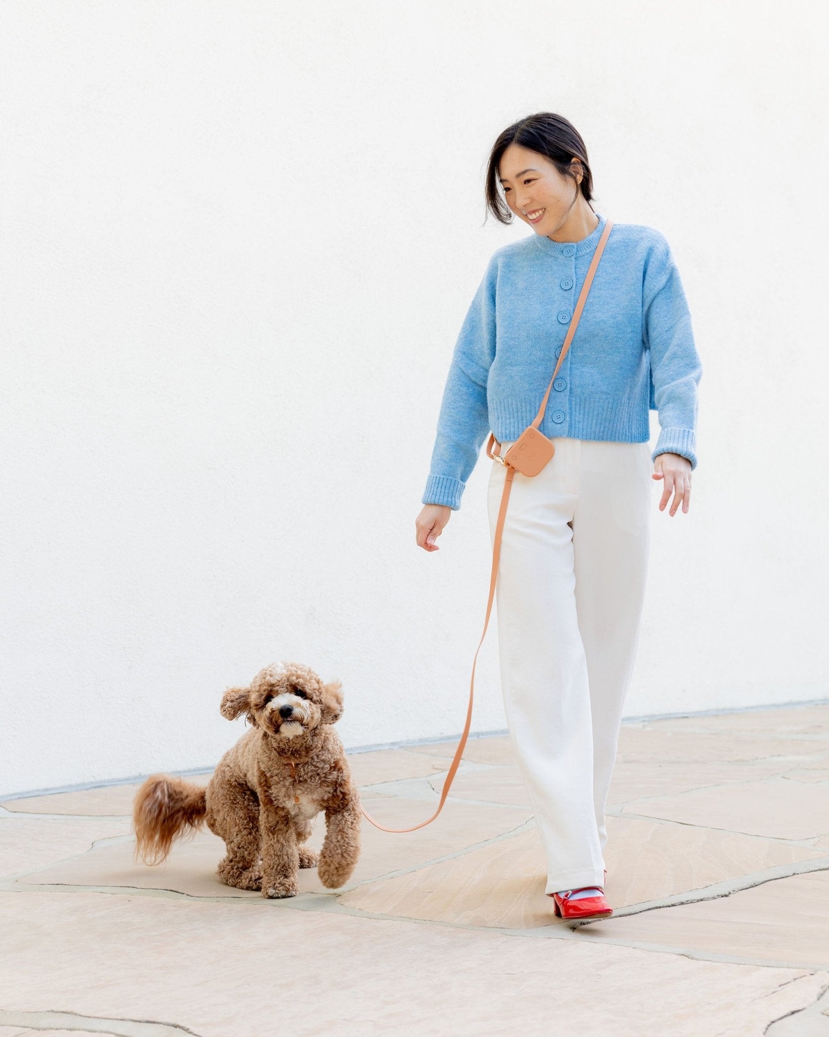 5 - Piece Hands Free Set – Leash, Harness, Collar, Treat Pouch & Waste Bag Holder - SUNNY TAILS