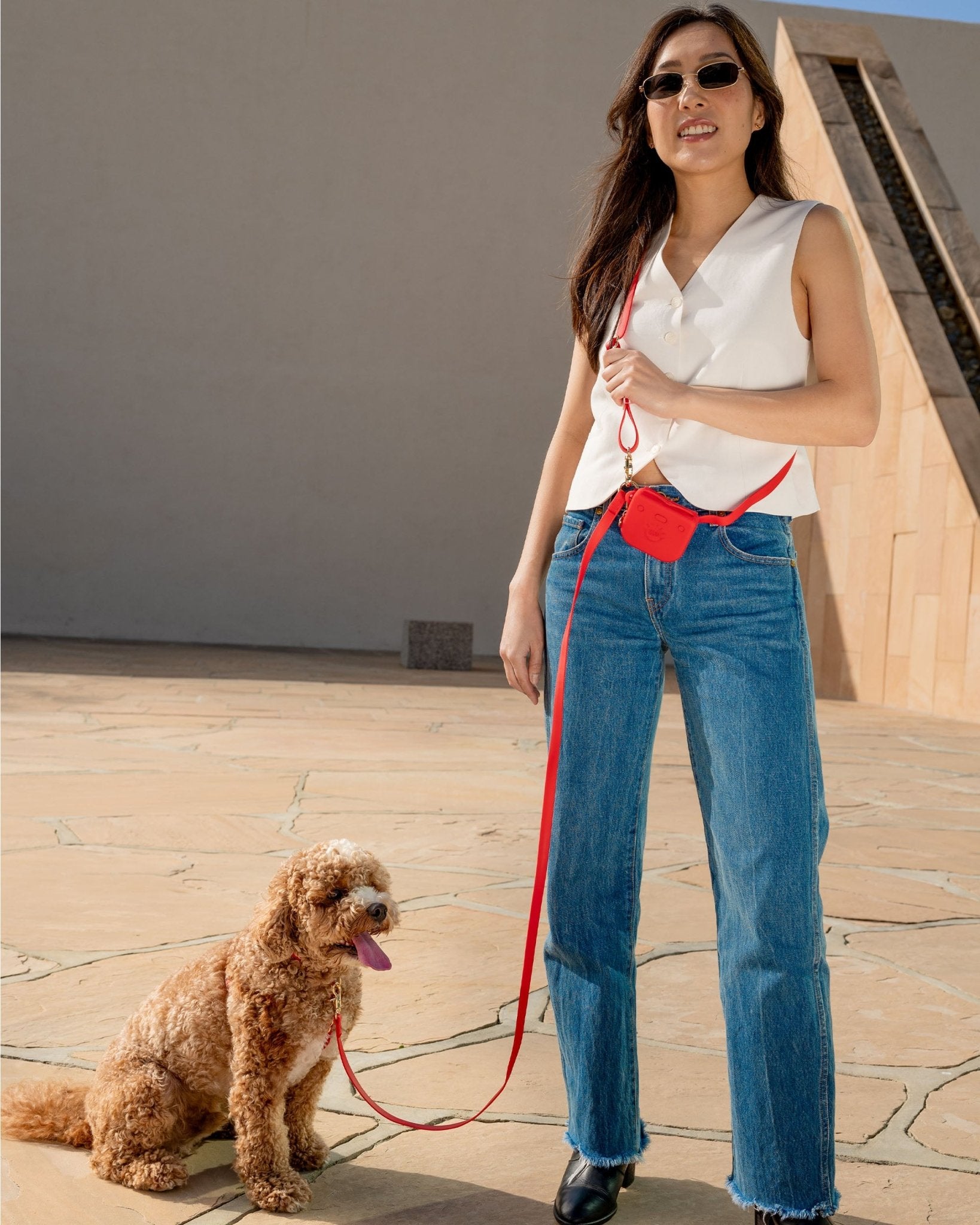 Cloud Lite Dog Harness Treat Pouch Bundles - SUNNY TAILS