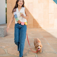 Dandelion Yellow Snap Dog Treat Pouch