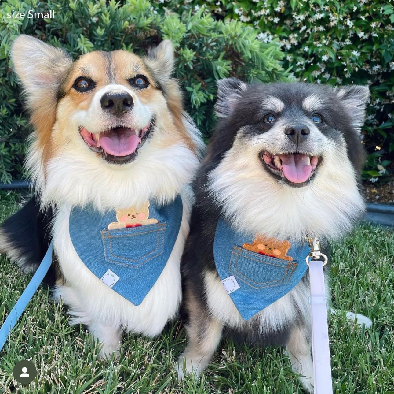 Pocket Teddy Indigo Denim Dog Bandana - Beige - SUNNY TAILS